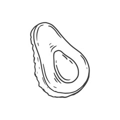Black and white sketch of avocado isolated on white. Doodle. Half an avocado for label, poster, print, menu. 