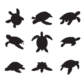 Set of black silhouette big sea turtle cartoon cute animal design ocean tortoise swimming in water flat vector illustration isolated
