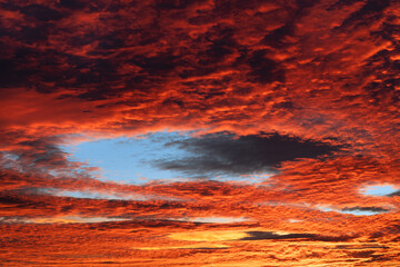Red cloudscape with blue fallstreak hole in cirrocumulus clouds at evening twilight. Beautiful...