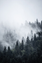Misty mountain landscape - 753239391