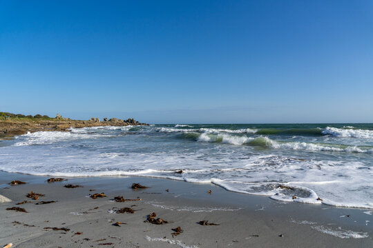 Une plage de sable parsemée d'algues brunes se dévoile sous un ciel bleu, où de petites vagues déferlent avec douceur, laissant derrière elles une écume blanche étincelante