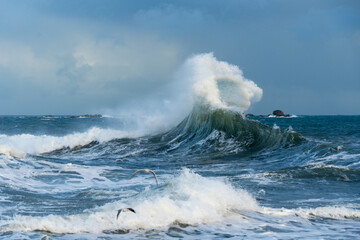 Les vagues tumultueuses embrassent la côte bretonne, dansant avec le vent en une symphonie sauvage et éclatante.