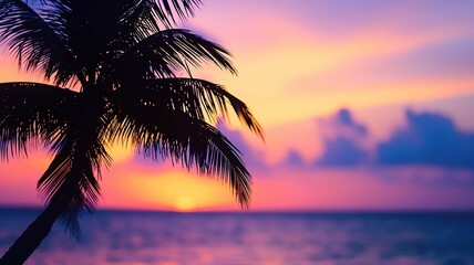 Palm tree silhouette at sunset by the ocean
