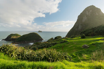 Paritutu Rock, Back Beach, Mew Plymouth, Taranaki, Nordinsel, Neuseeland, Ozeanien