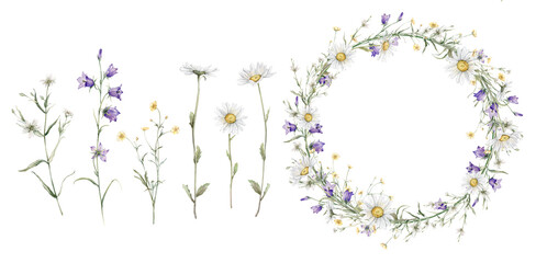 Set of wreath of yellow and white flower and meadow forest flowers. Watercolor hand painting illustration on isolate. Circlet of flowers with chamomile and violet bluebell. Botanical summer wildflower - obrazy, fototapety, plakaty