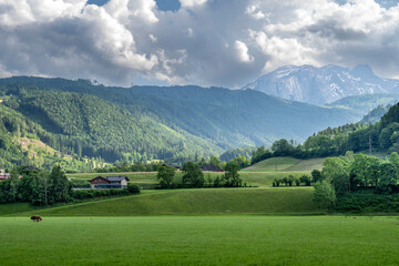 Scenic view of idyllic landscape in the Alps with fresh green meadows