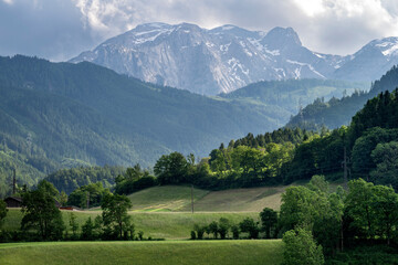 Scenic view of idyllic landscape in the Alps with fresh green meadows - 753248550