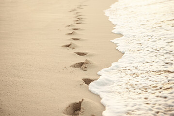 Footprints in the sand - 753254919