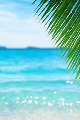 Fototapeta na wymiar Tropical Beach with Clear Blue Water and Palm Tree 