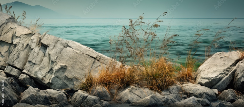 Poster majestic rock wall with natural texture and intriguing patterns