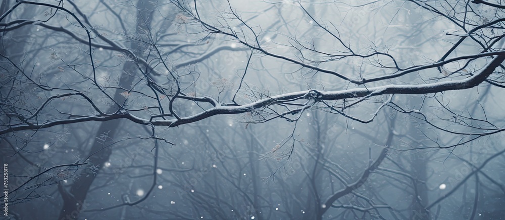 Poster serene winter landscape: snowy tree branch in the foreground with soft falling snowflakes