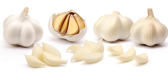 Fototapeta premium Fresh Organic Garlic Bulbs Arranged in a Rustic Setting, Farm-to-Table Concept