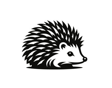 Cute hedgehog vector illustration
