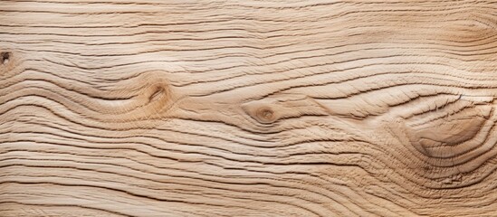 Detailed Macro Shot of Natural Wooden Surface with Intricate Textures and Patterns
