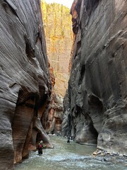 The Narrows - Zion national park