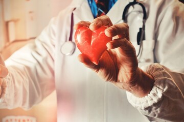 Hands of doctor holding red heart, showing symbol of love, human support to patient, promoting...