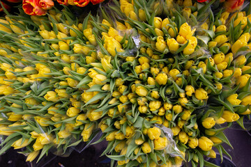 Closeup flower romatntic bouqet multi colored decoration, flower shop