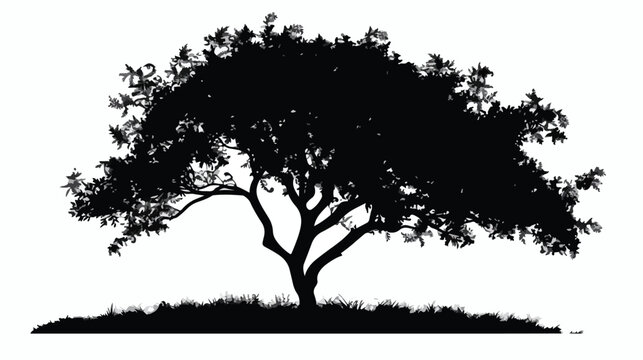 Silhouette of a black tree plant