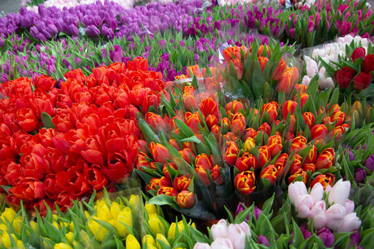 Closeup flower romatntic bouqet multi colored decoration, flower shop