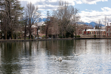 Fototapeta premium house on the river