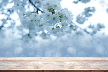 floral spring abstract nature panorama background with wooden base, apple tree Blossoms and Essence...