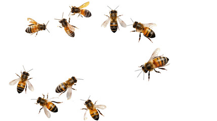 flying bees isolated on transparent background.png