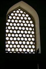 Window lattice at Shah-i-Zinda Necropolis, Samarkand