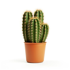 cactus in a pot on a white background сreated with Generative Ai