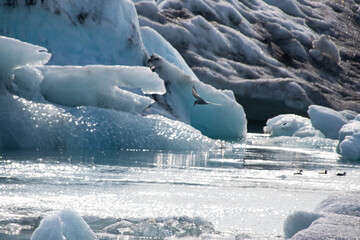 Melting ice on a glacial lake in Iceland on a beautiful sunny day, drawing attention to the climate crisis in this world