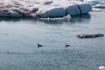 Melting ice on a glacial lake in Iceland on a beautiful sunny day, drawing attention to the climate crisis in this world