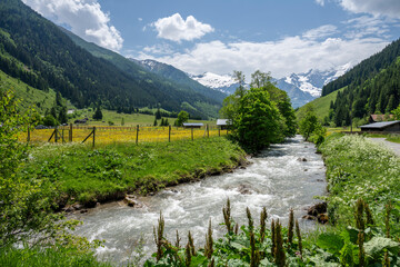 East Alpes at the Ferleiten area in Austria - 753272966