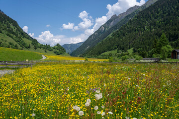East Alpes at the Ferleiten area in Austria - 753272970