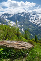 East Alpes at the Ferleiten area in Austria - 753273315