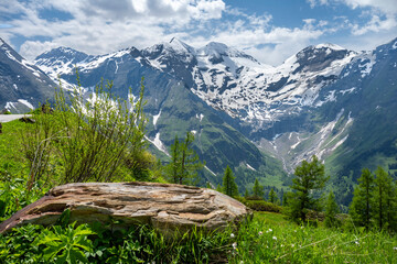 East Alpes at the Ferleiten area in Austria - 753273323