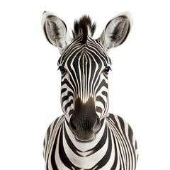 photo of a zebra on a white background сreated with Generative Ai