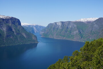 fjord in summer