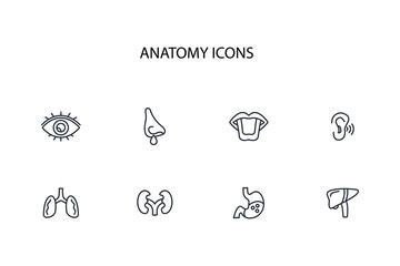 organs icon. anatomy human icon set.vector.Editable stroke.linear style sign for use web design,logo.Symbol illustration.