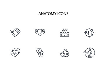 organs icon. anatomy human icon set.vector.Editable stroke.linear style sign for use web design,logo.Symbol illustration.