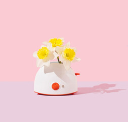 Natural daffodils in the toaster. Pastel pink background. Front view. Copy space. Minimal surreal floral concept of food. Creative composition of flowers and small domestic appliance.