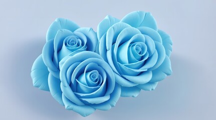 Pastel blue color flower rose on white background 