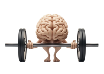 Brain with arms lifting gym bar doing exercise. Three dimension cartoon illustration over white transparent background
