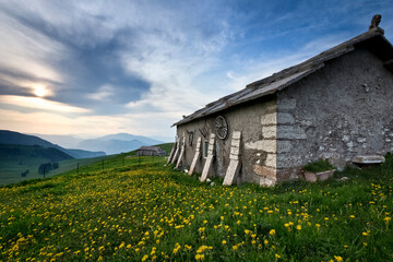 Malga Gasparine di Dietro among the flowering meadows of Lessinia. Erbezzo, Veneto, Italy. © Andrea Contrini