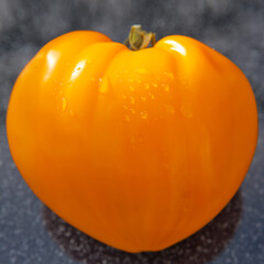 Big tomato in shape of heart on gray background.