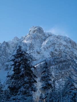 Snow-capped sunlit peak with trees in foreground in Krnica Valley, Julian Alps on a clear winter day