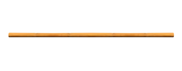Foto auf Leinwand Horizontal, medium-length wooden stick on isolated transparent background © Gold Picture