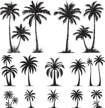 Simple Vector Palm Tree silhouette SVG icons and Beach Logo Designs in black and white and transparent background PNG file with Suns Clouds and Islands in the Ocean