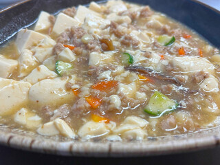Tofu and pork with gravy sauce, Chinese style