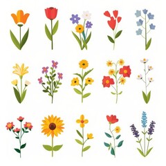 Stock Flower Icon Set, Garden Matthiola Incana Flower Flat Design, Abstract Stock Flower Symbol, Simple Flowers