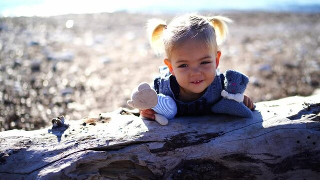 Little girl with teddy bears leans on a snag on the beach and nods her head. High quality 4k footage