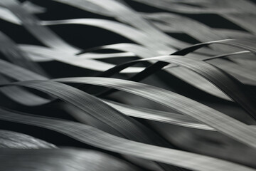 Abstract Interlaced Black Metal Strips in Elegant Monochrome Design